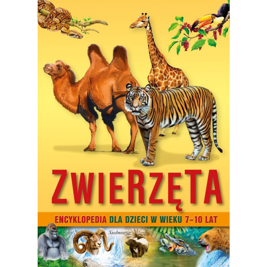 Zwierzęta. Encyklopedia dla dzieci w wieku 7-10 lat