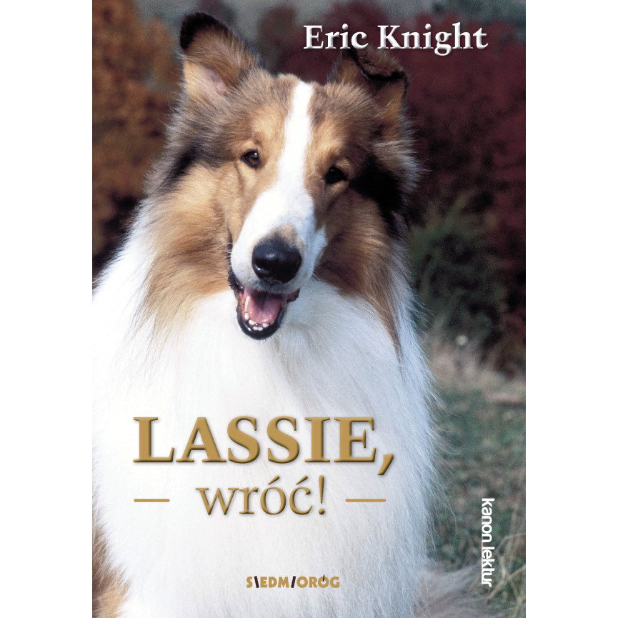 Lassie, wróć! 