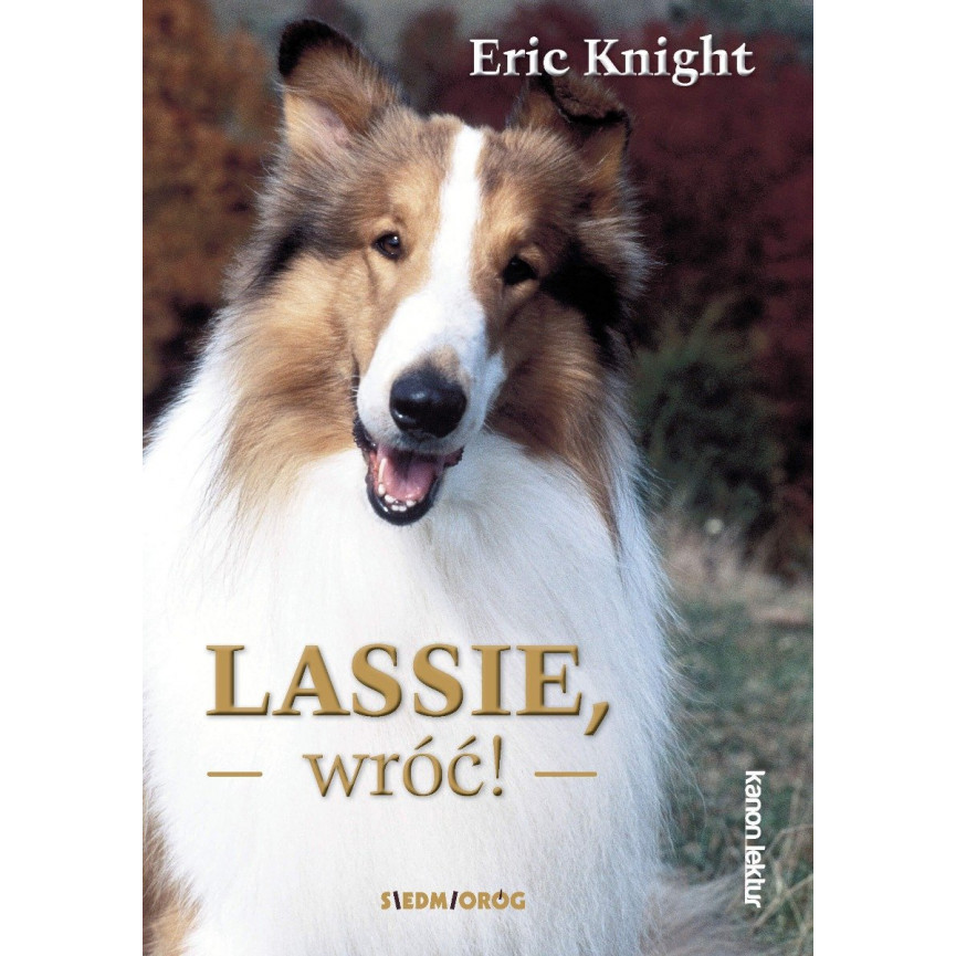 Lassie, wróć! (ebook)