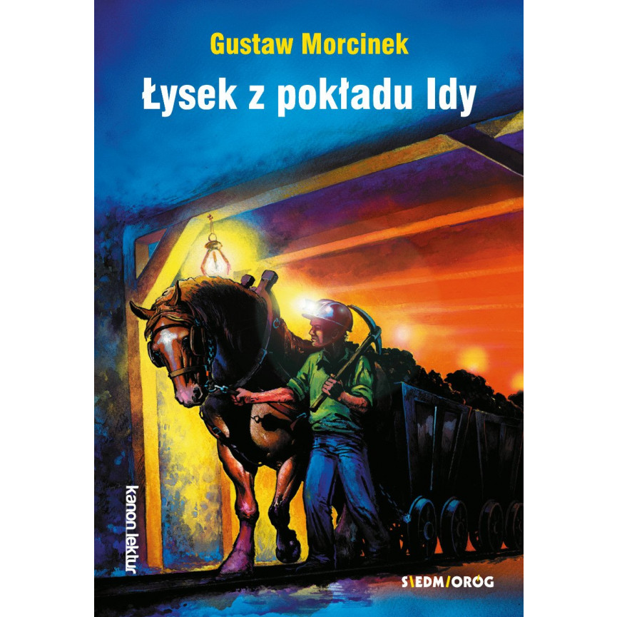 Łysek z pokładu Idy (ebook)