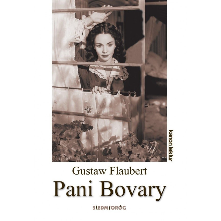 Pani Bovary (ebook)