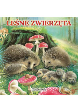 Leśne zwierzęta. Wesołe książeczki