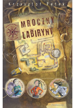Mroczny labirynt (ebook)