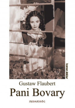 Pani Bovary (ebook)