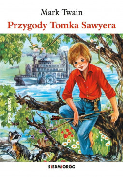Przygody Tomka Sawyera (ebook)