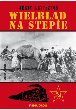 Wielbłąd na stepie