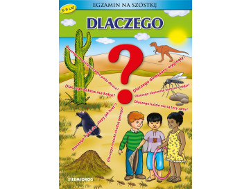 Dlaczego? Egzamin na szóstkę