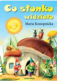 Co słonko widziało - okładka